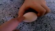 تخم مرغ بدون پوسته کاملا طبیعی
