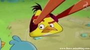 انیمیشن سریالی پرندگان خشمگین,2013 Angry Birds TOONS|قسمت 3