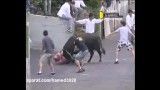 حمله گاو به مردم 2