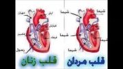 فرق قلب مردان با زنان(تا اخر ویدیو نگاه كن)