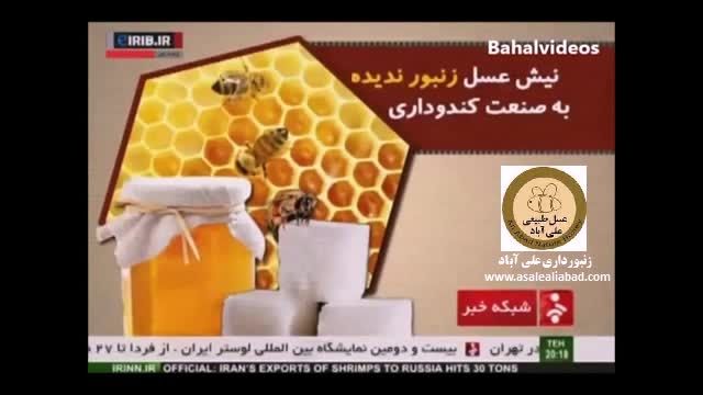 هشدار شبکه خبر در باره تولید عسلهای زنبور ندیده