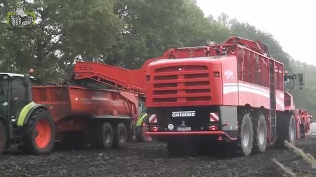 Grimme Rexor 630 bietenrooier tijdens demo in de motreg