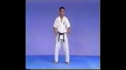 تایک یوکو سونو ایچ (کیوکوشین کاراته تزوکا نور )