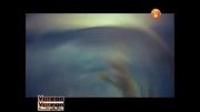 موسیقی آداجیو اثر آلبینیونی .برنامه971- 1393.6.18