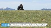 خبر کشته شدن مرد 31 ساله توسط خرس مهربان