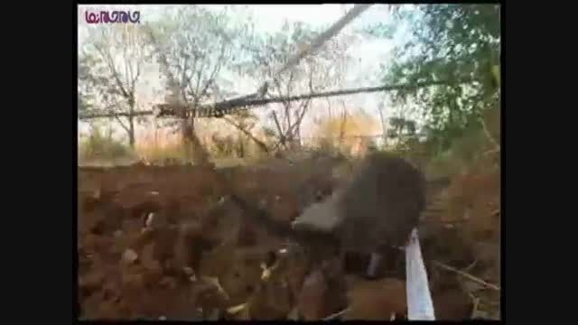 گلچین صفاسا: موش مین یاب+فیلم کلیپ منطقه عملیات جنگ بمب