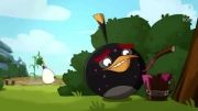 انیمیشن سریالی Angry Birds Toons | قسمت 37 | Clash Of Corns