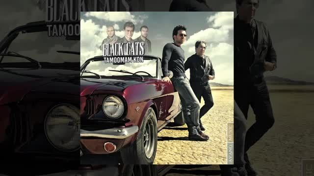 Black Cats - Tamoomam Kon OFFICIAL TRACK