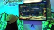 E3 2013 Part 2 - DK - Tropical Freeze gameplay