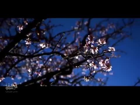 موزیک ویدئو فصل بهار 2