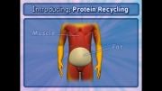 چرخه مجدد پروتئین-فرآیندهای سلولی10 (Protein Recyclin)