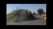 حمل درخت در جاده