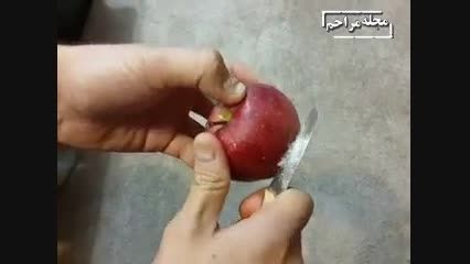 مواد نگهدارنده روی سیب
