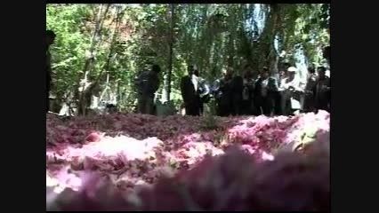 جشنواره گل میمند فارس - شرکت کشت و صنعت گل قطره فارس