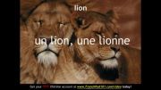 آموزش کلمات فرانسه 20 (حیوانات جنگل)