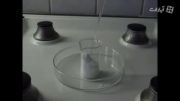 Chemistry experiment 3. - Dehydration of sugar