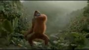 رقص میمون
