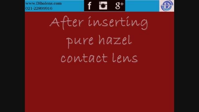 بررسی  لنز فرشلوک Freshlook Pure Hazel