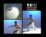 shinkyokushin Gekisai Sho