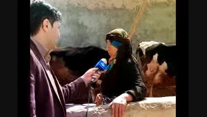 خانم میانسال روستایی، کارآفرین برتر ایران