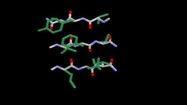 پروتئین/آمینواسید