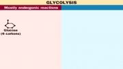 گلیکولیز(Glycolysis)