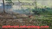 آثار تخریب جنگل oldforest.mihanblog.com