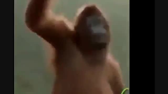 رقصیدن میمون