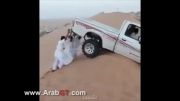 عرب های دیوانه .....  :)