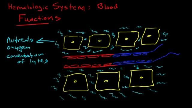 آشنایی با سیستم خون سازی