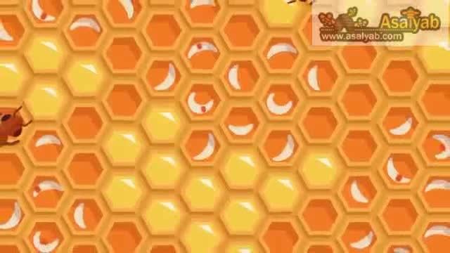 مرگ زندگی با نابودی زنبور عسل