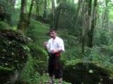 تمرینات مبارزه ای پرتوآ در جنگل