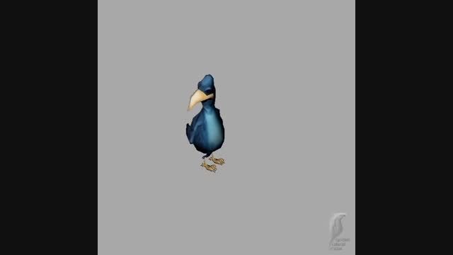 انیمیت بازی کامپیوتری پروانه (Bird)