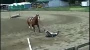 مجموعه ای ازحوادث در اسب سواری!!!