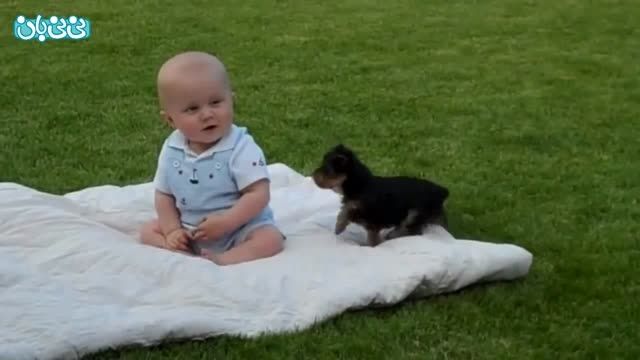 درگیری سگ با پسربچه !