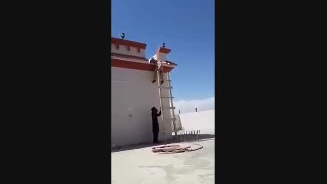 سرکار گذاشتن با نردبان