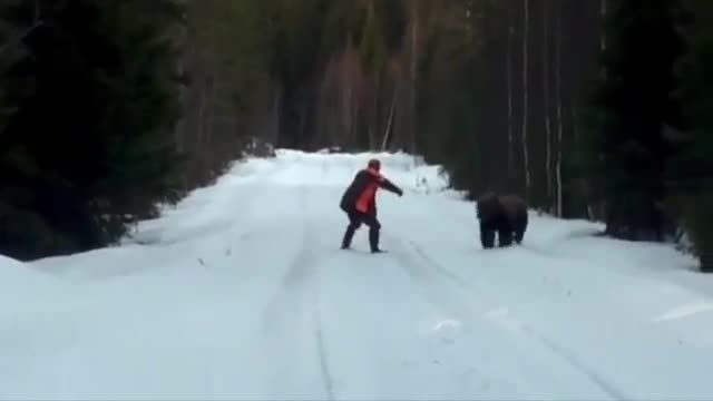 ترساندن خرس توسط مرد سوئدی!