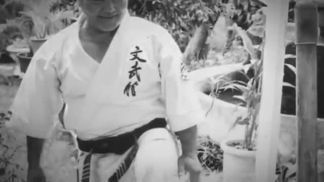 بهترین سبک های و اساتید کاراته اوکیناوا و ژاپن KENPO