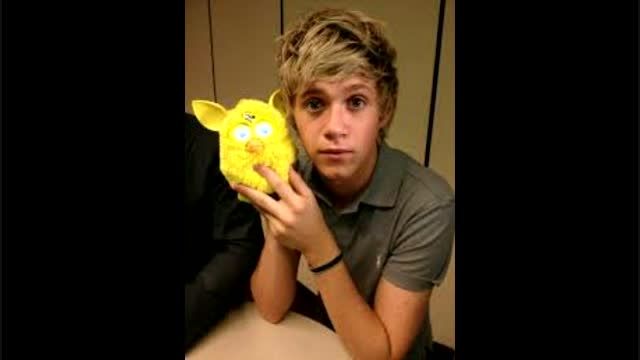 niall for ever