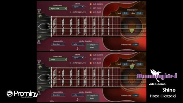 prominy hummingbird acoustic guitar2