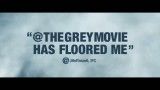 تریلر فیلم the grey