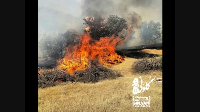 گفت وگو با اعضای بلوط بان حین خاموش کردن آتش جنگل بلوط