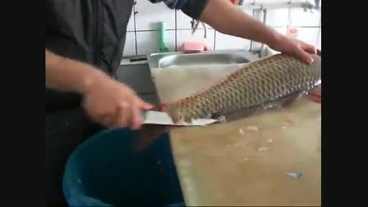 پوست کردن حرفه ای ماهی
