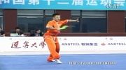 ووشو،مسابقات داخلی چین فینال دائوشو،گائو سشیائو بین از شنسشی