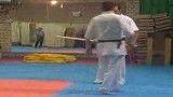 شیهان مصطفی دانشفر (تمشیواری) _ کیوکوشین-کان کاراته