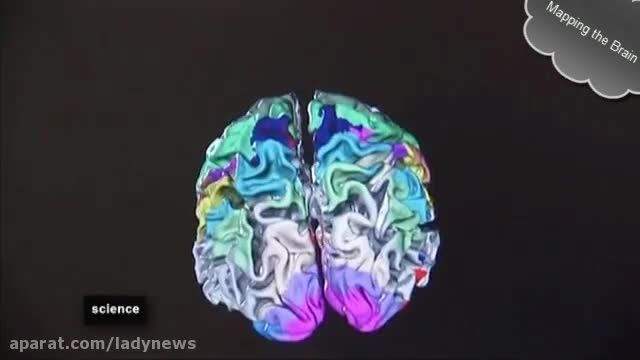 نقشه برداری سه بعدی مغز