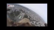 فیلم/ پرواز دیدنی عقاب بر فراز پاریس