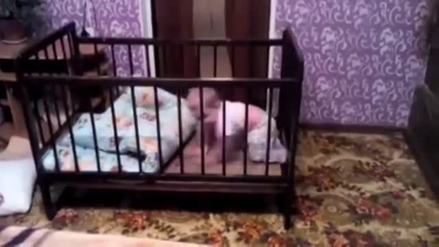 فرار زیرکانه کودک باهوش از تختش