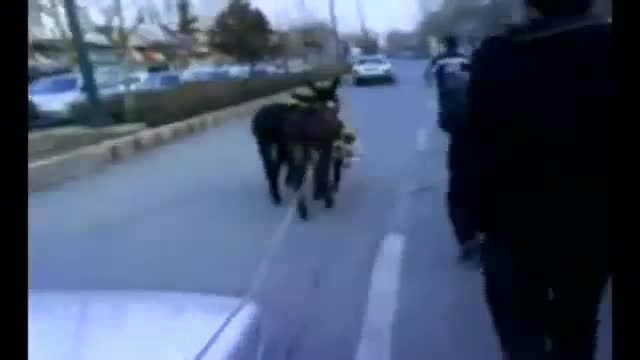 اعتراض به شرکت ایران خودرو - با خر