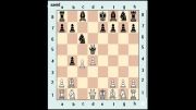 بازی های برتر شطرنج